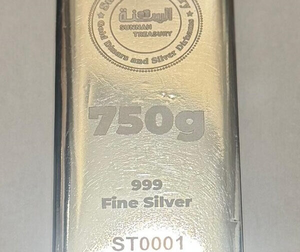 Fine Silver Bar (999 Purity) – 750g